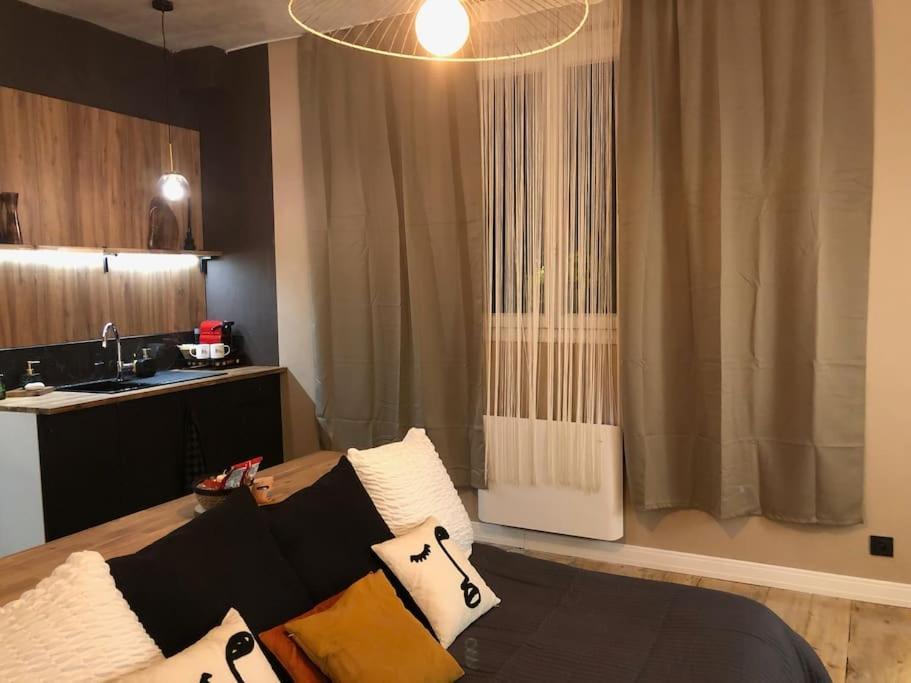 Le Tulum, T2, Hyper-Centre, Place Aux Herbes Mâcon Extérieur photo